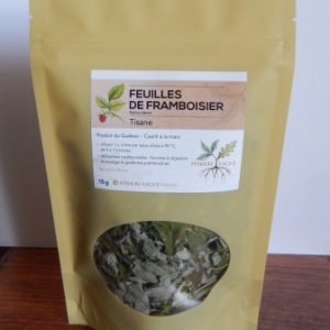 Cataire, fleur feuille bio - Herbes Orford